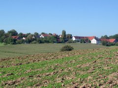 pfeffendorf