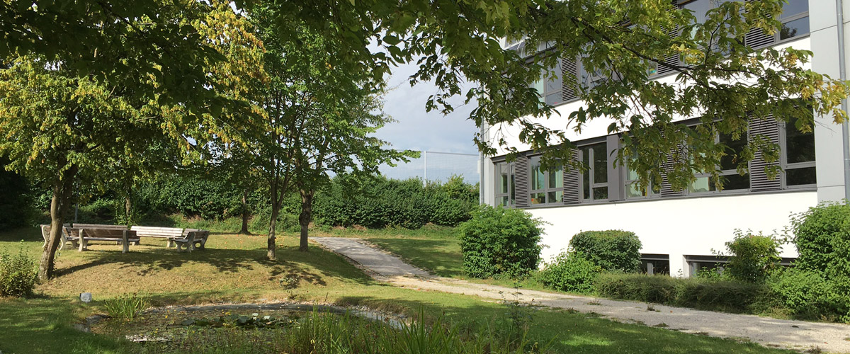 Baum mit Teich Slider