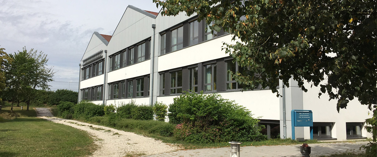 Baum mit Gebäude Slider 1