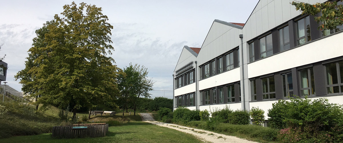 Baum mit Gebäude Slider 2