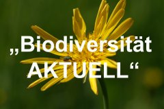Biodiversität aktuell